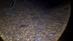 Putarankahotmilf: L’entraînement le plus dément de tous les temps et mon...