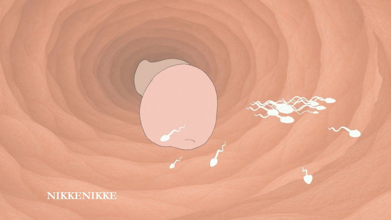 Nikkenikke animation: Yaoi: Spermtazoid Game: Level up in Her Stuffed Little Ass
