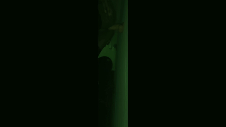 Ombunny: Visão noturna: bolas profundas em foda anal com vibrador do...
