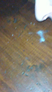 Rough Fucking Dirty, Amateur Housewife's Homemade Kinky Show