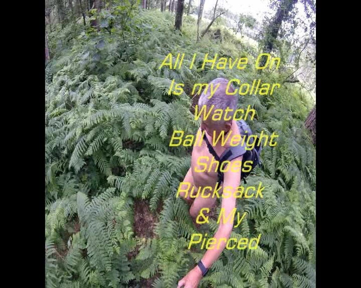 Andy: Apenas uma caminhada na floresta