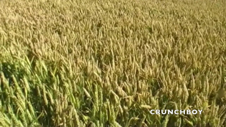 Crunch Boy: İki seksi Fransız ibne riskli exhibde sikişiyor