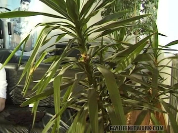 Gay Life Network: Sexig sugande &rövknull