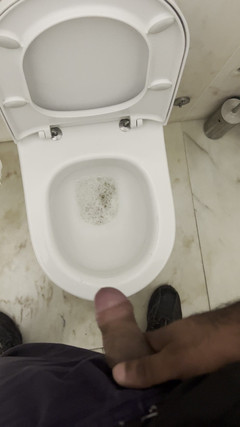 Wesley Fudedor: ショッピングトイレの警備員が放尿して楽しみを探している