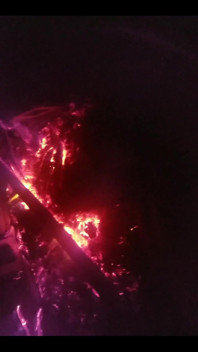 Camera Roll Dump