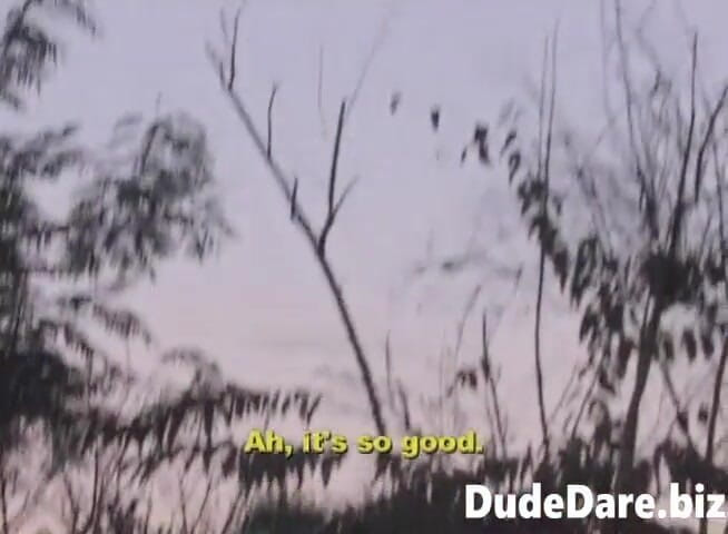 DudeDare: 숲에서 봉크하는 변태 친구들