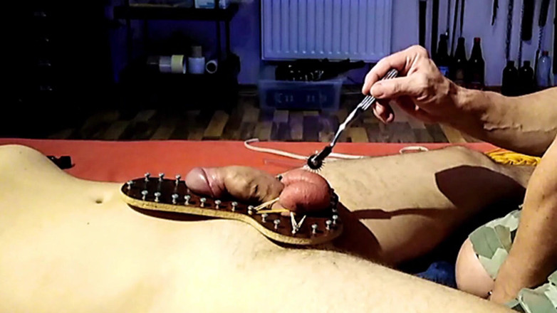 Master Drex: Bite et couilles, dispositif d'exposition
