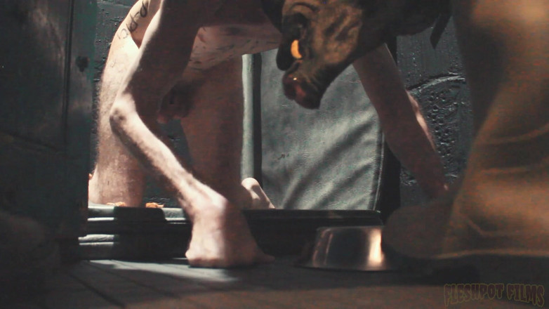 Fleshpot films: Průvodce k chovu prasat