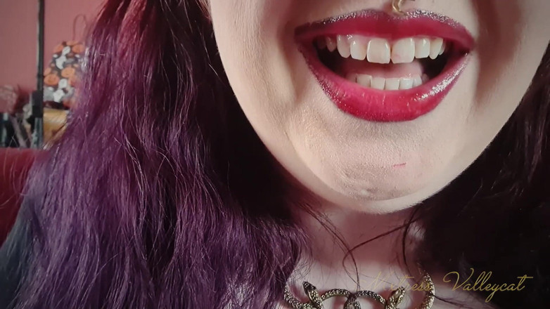 Mxtress Valleycat: Pohltování vesnické ekonomiky