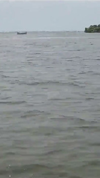 Uma viagem pelo mar
