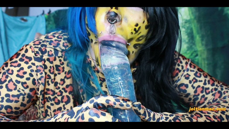Joltionmac: Meow! Rawr! M E O W