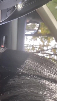 4 aventurile lui Milfycalla - episodul 4 Need a Ride