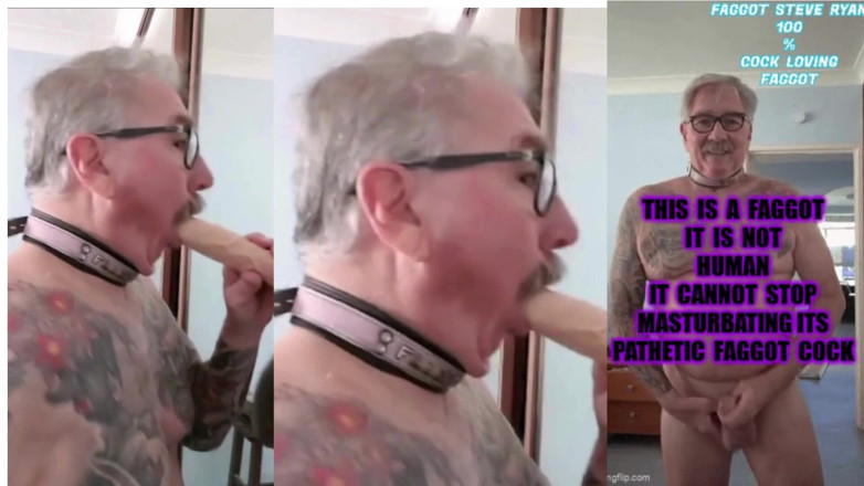 iamFAGsteve: Îmi place pula, sunt homosexualUl Steve Ryan