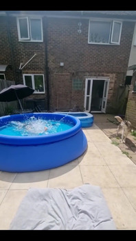 Diving in the Freezing Pool!