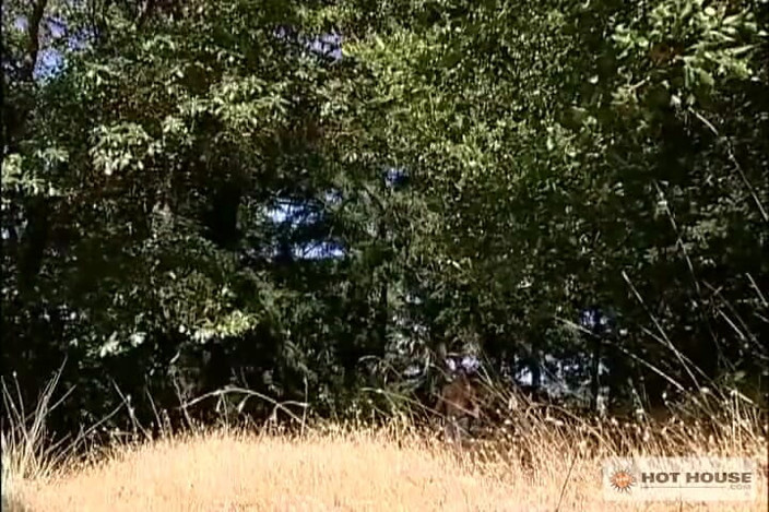 Hot House: Wild Oats
