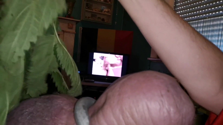 Monster_Meat_: 하드코어 쐐기풀 플레이