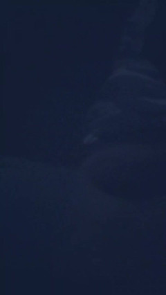 Slutboyben: रंडीबॉयबेन कैम4 कैम4 पर नाइट लाइव में सुअर के मंडराते हुए xpozing