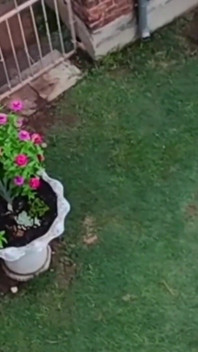 J’ai surpris mes voisins en train de baiser en volant avec mon drone
