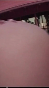 The Best Cocksucker