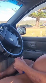 Desnudo en el coche