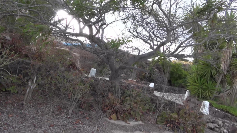 Czech Pornzone: Czech Porn Badass Babes Vacation Affairs - Vol 13