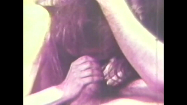 Vintage megastore: La Sporca Maiale Prostituta