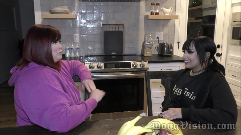 DoggVision: StepMother Knows Best