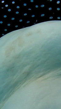 Sledujte, jak bbw sestřička Vicki cvičí v bazénu s podvodní kamerou See My