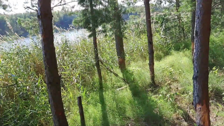Ole63: I Enjoy Nature and Masturbate My Dick.