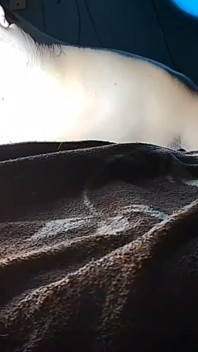 Puchis - Sexy MILF Jugoso Ruidoso Squirting