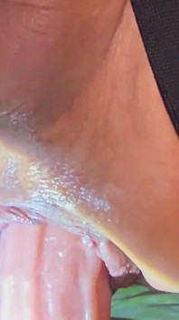 Menerkam dildo ukuran 12 inci