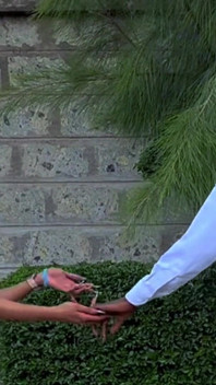 Highschool Love Saga ( Full Video)