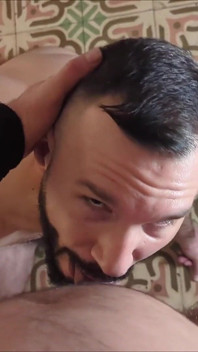 Bear Alessio Venezi Serving His Master