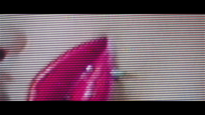 SkinVision: yalama - luna luxxx
