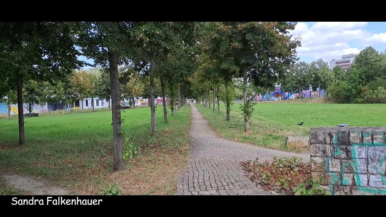 Sandra Falkenhauer: Pee Compilation 2024