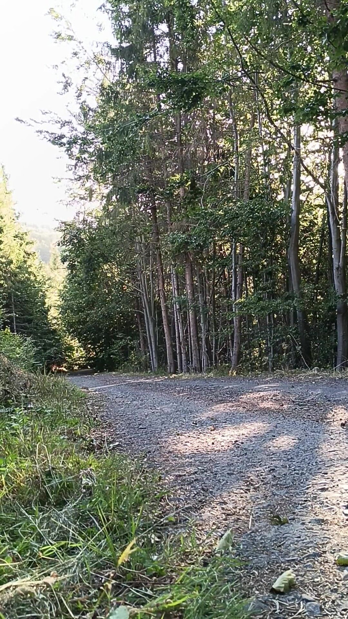 kickerscooter: Scooter Rider Venkovní masturbace