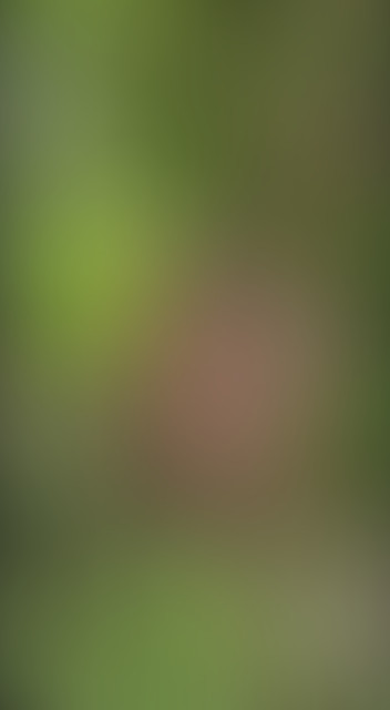 Locked due to age restriction