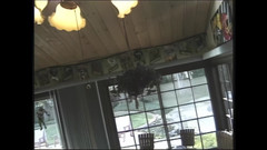 The Unforgettable: Je Voulais Juste Ton Vagin