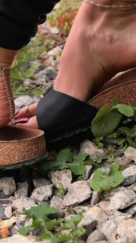 Bermain dengan Birkenstocks