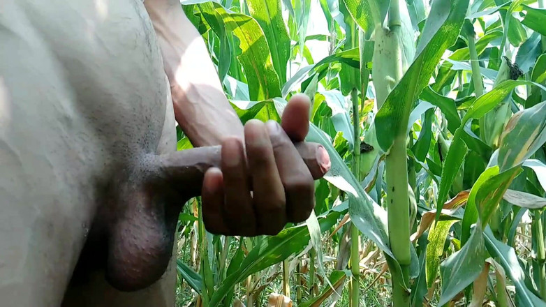 Desimast7: Indický nadržený muž si hraje s velkým ptákem