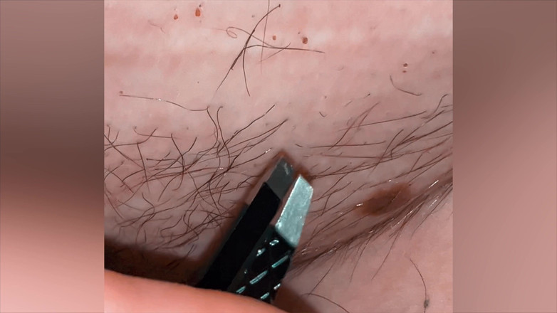 SatisfyingDillyDally: 만족할만한 당김