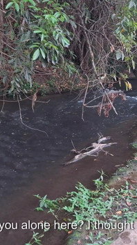 Degli sconosciuti vengono beccati a fare sesso alla cascata.