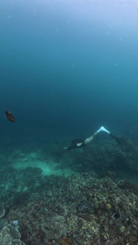 Just Dating the Ocean Will Be Back to Be Your Cum Slut Again Tomorrow