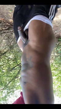 BBC Solo