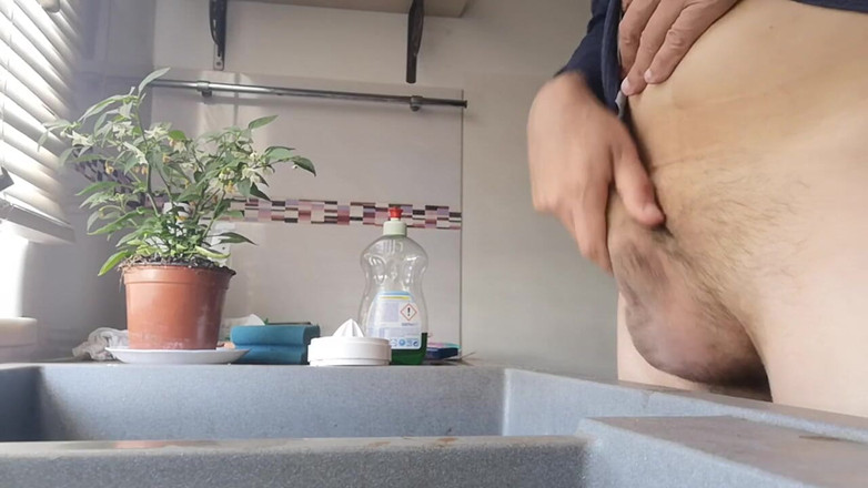 Rafael Torreano: 부엌 싱크대 딸딸이