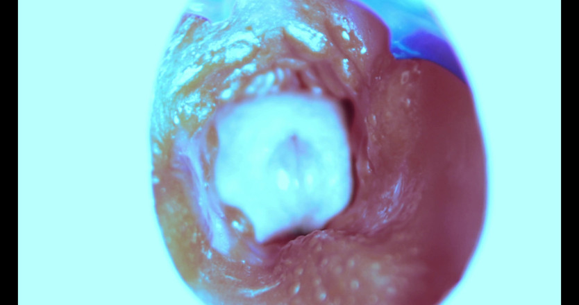 SEXY_GUYBEST: Как я трахаю из глубины! Камера внутри!