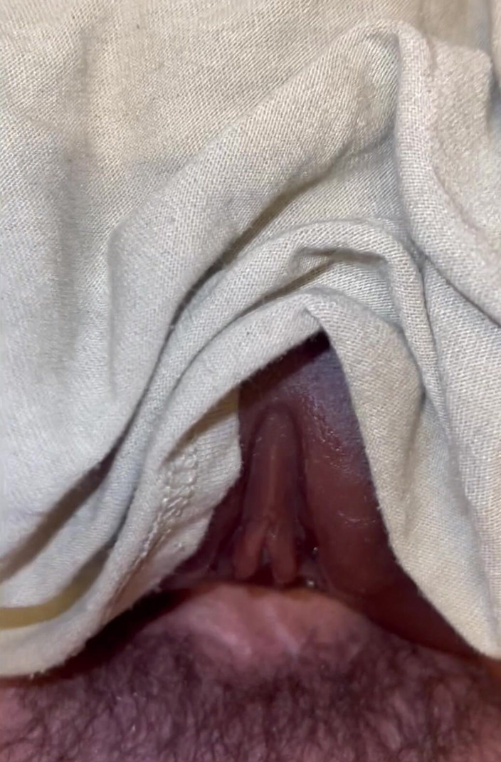 Timmdaddy2000: Sex Toy Tuesday Ass Fuck Cum on Pussy