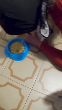 Miss Katryn, Kika dan Hamba O di apartmen baru