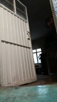 Chatte rasée