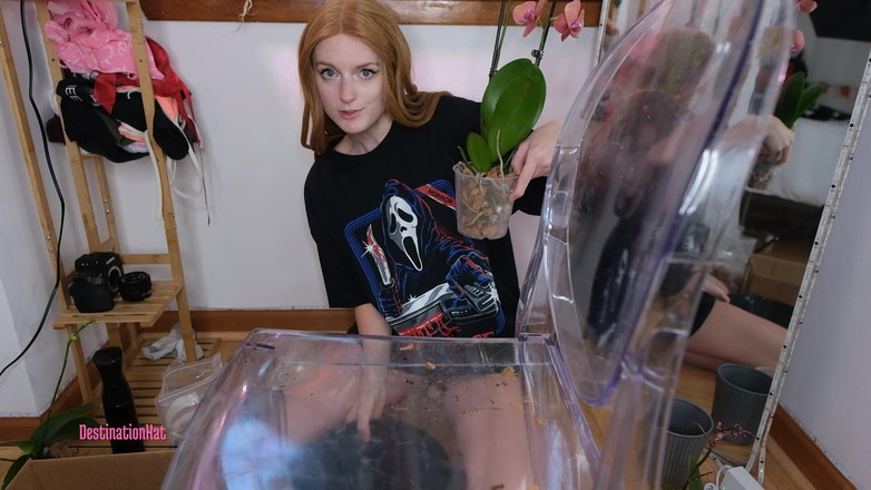 Destination Kat: Arătându-mi floarea